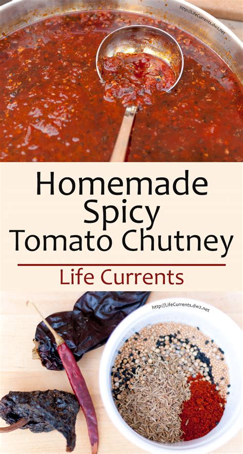 Homemade Spicy Tomato Chutney - Life Currents