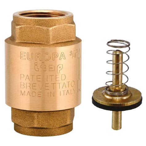 Europa Heavy Check Valve Royal Industrial Trading Co