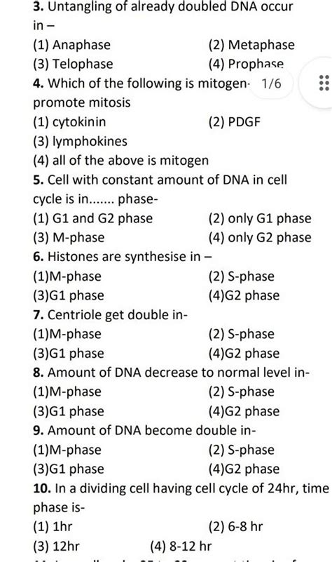 Cell With Constant Amount Of Dna In Cell Cycle Is In Phase Filo