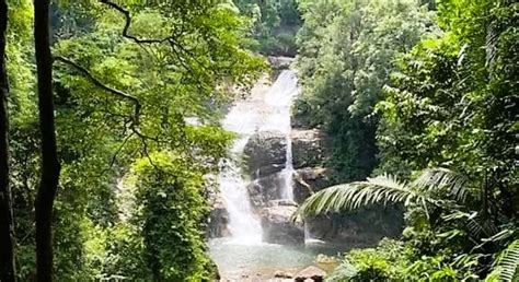 Kallar Meenmutty Waterfalls • Entry Fee Timings Things To Do