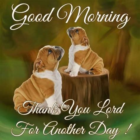 Good Morning Thank You Lord For Another Day Pictures Photos And