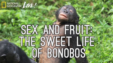 Sex And Fruit The Sweet Life Of Bonobos Nat Geo Live Youtube