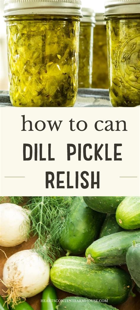 Dill Pickle Relish Recipe Simple And Classic Recipe Dill Relish