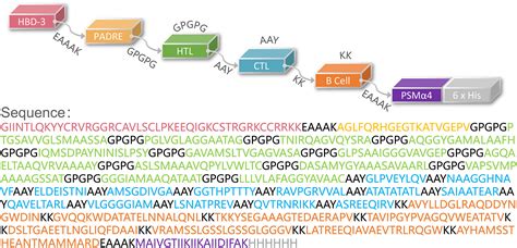 Frontiers Bioinformatics Analysis And Consistency Verification Of A