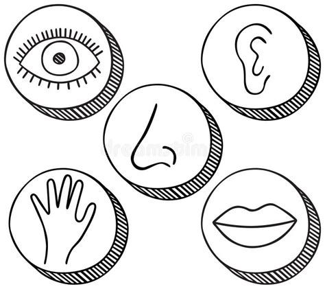 5 Senses Clipart Black And White