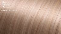 Inch Deluxe Remy Instant Clip In Extensions Barley Blonde Beauty Works