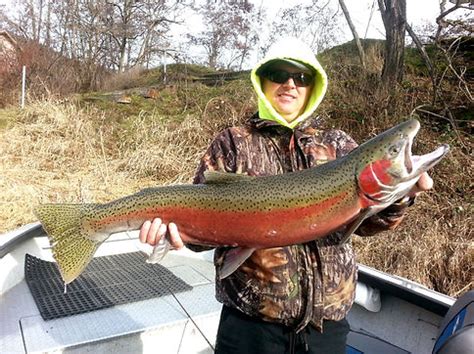 Guided Steelhead Fishing Trips Clearwater River