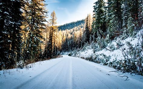 Fondos De Pantalla Paisaje Bosque Naturaleza Nieve Invierno