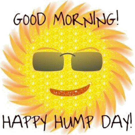 Wednesday clipart hump day, Wednesday hump day Transparent FREE for ...