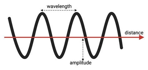 Wavelength – NC DNA Day Blog