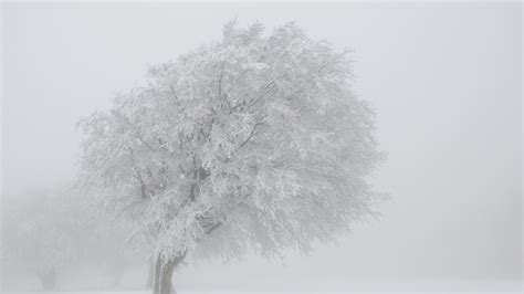 România lovită de un nou episod de viscol Temperaturile se prăbușesc