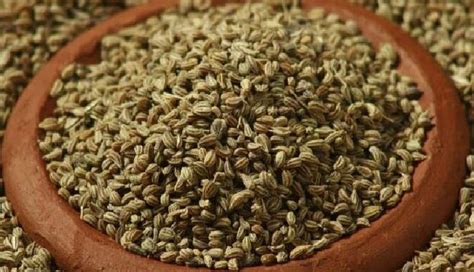 Most Amazing Health Benefits Of Ajwain Lifeberrys