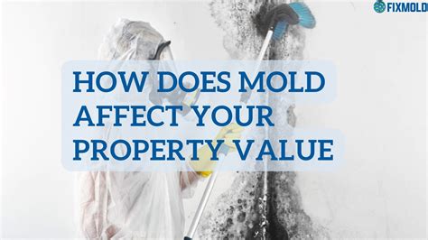 How Does Mold Affect Your Property Value Fixmold