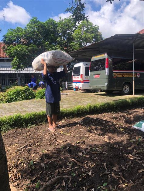 Maksimalkan Potensi Tanaman Kacang Dengan Pengikatan Sisa Hasil Panen