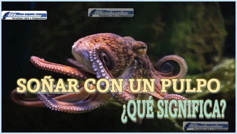 So Ar Con Un Pulpo Qu Significa Este Sue O El Derecho Online