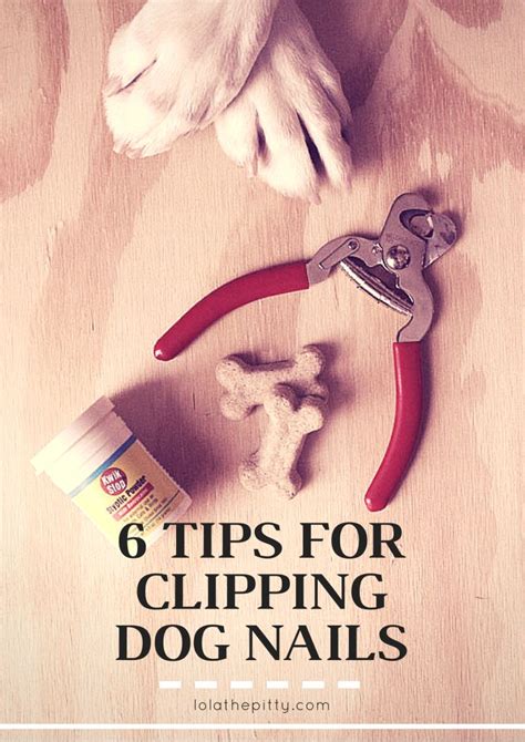 6 Tips For Clipping Your Dogs Nails Dog Nails Clipping Dog Nails