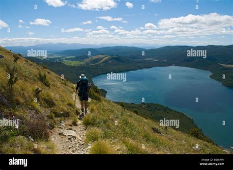 Lake Rotoiti From Mount Robert Near St Arnaud Nelson Lakes National