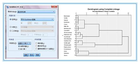 Spss聚类分析法案例spss聚类分析法 随意云