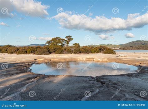 Mud Pool at Sulphur Bay of Lake Rotorua Stock Image - Image of ...