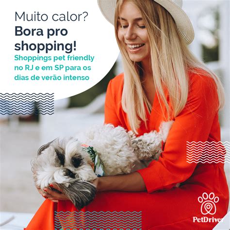 Muito Calor Bora Passear No Shopping PetDriver O APP De