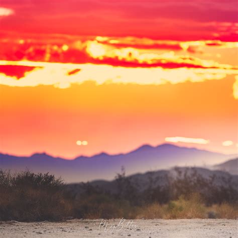 Digital Background Joshua Tree Sunset Meg Bitton Productions