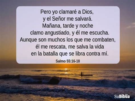 Salmos De Protección Su Biblia