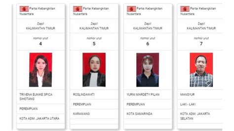 Daftar Caleg Partai Kebangkitan Nusantara Untuk Dpr Ri Dapil Kalimantan