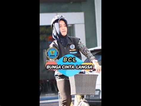 BCL Bunga Cinta Langsa Part 1 BNN Kota Langsa X Pelantikan IKAN