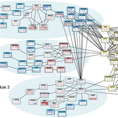 Protein Interaction Network Of Genes That Undergo AS Which Show