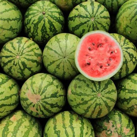 How To Tell If A Watermelon Has Gone Bad 12 Ways To Know Jozmahal