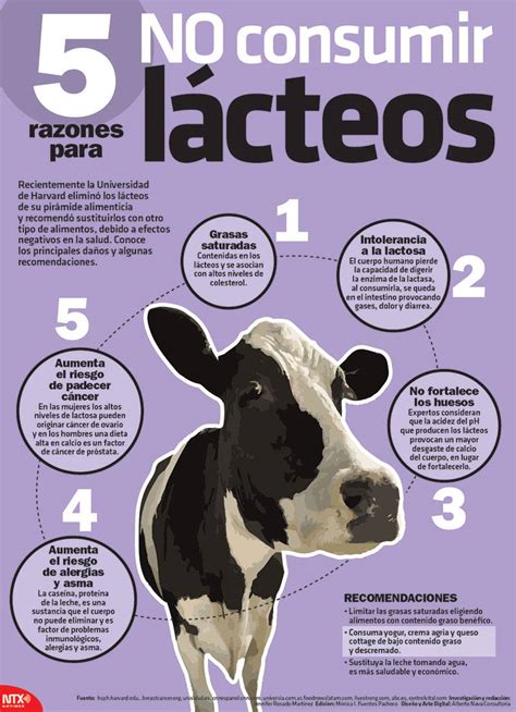 Consumo De Productos L Cteos Y C Rnicos Trae Severos Impactos