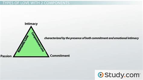 Sternbergs Triangular Theory Of Love Overview And Types Lesson