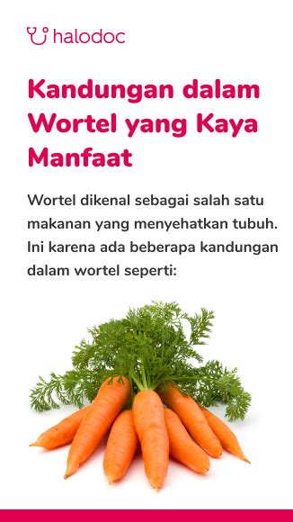 Rutin Konsumsi Wortel Baik Untuk Mata Anak Ini Faktanya