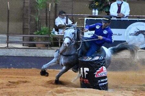 Cavalo Árabe mostra toda a sua funcionalidade em prova ABC do ABC