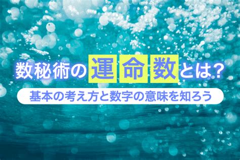 数秘術の運命数とは？基本・導き方・特別な数字について徹底解説！ 通信教育・通信講座のsaraスクール資格講座