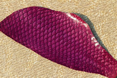 Véritable Peau De Cuir De Poisson Tilapia Maroquinerie Vernis Etsy