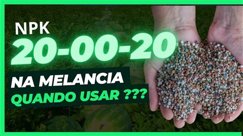 COMO USAR O ADUBO 20 00 20 NA MELANCIA YouTube