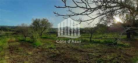 Terreno Venda Em Palmela Quinta Do Anjo Casa Sapo Portal