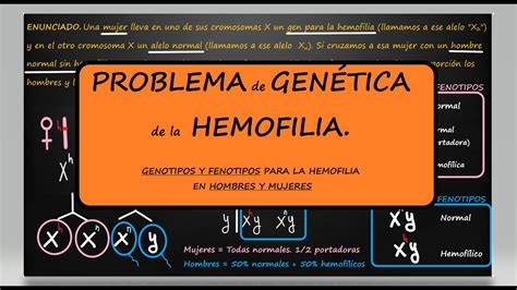 Problema Gen Tica Hemofilia Genotipos Y Fenotipos Para La Hemofilia En