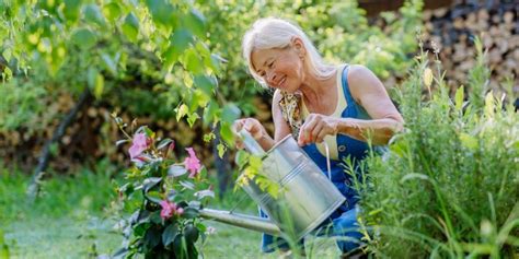 Exploring The Enjoyment Of Gardening For Seniors A Guide To Plants For