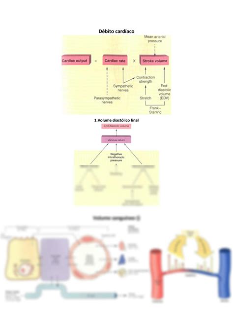 Solution Fisiologia Sistema Linf Tico Studypool