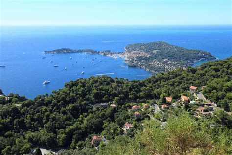 Saint Jean Cap Ferrat Société anti Cafards Blattes SOLUTY