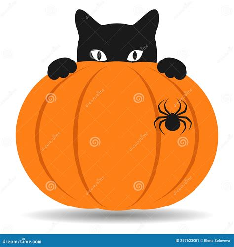 Halloween Holiday Illustration With Black Cat And Pumpkin On White