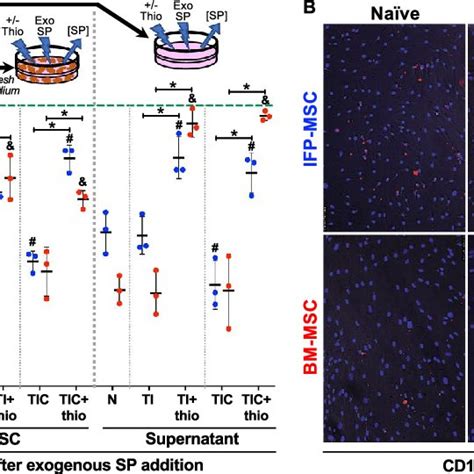 Protein Interactomes Of Ifp Msc And Bm Msc Secretory Profiling Pre And