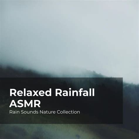 Relaxed Rainfall ASMR, Rain Sounds Nature Collection - Qobuz