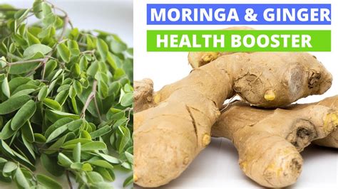 Miraculous Combination Of Ginger And Moringa To Treat Many Diseases