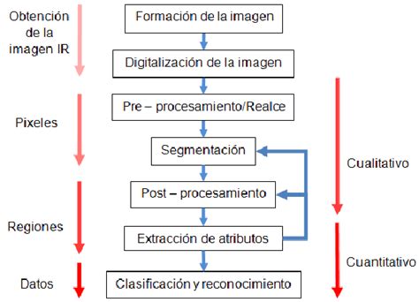 Secuencia De Procesamiento Y An Lisis De Im Genes Digitales Infrarrojas