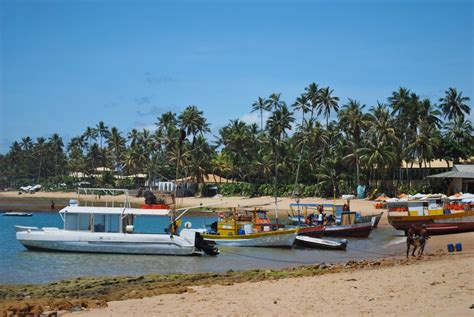 Guia Praia do Forte: dicas de viagem ao destino no litoral da Bahia | CV