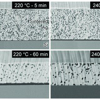 Cross Sectional SEM Images Of Sintered Joints Prepared Using Ag 2 O EG