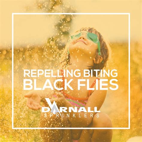 Repelling Biting Black Flies – Darnall Sprinklers